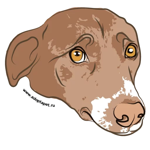 dog, dog's head, portrait of the dog, dog illustration, symbol of the dog head