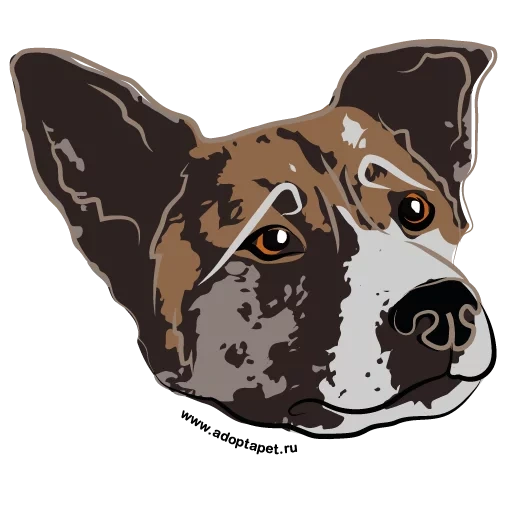 dog, perro vectorial, vector de retrato de perro, perro modelo jack russell terrier, staffordshire ee uu