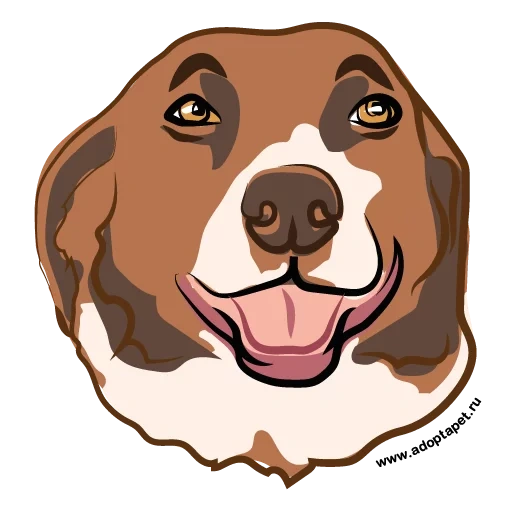dog, animal, cachorro fofo, cão de ilustração, bassett hound