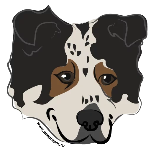 dog, cão estilizado, vetor de inundação de montanha de berna, berna mountain dog, tímpano preto de feixe branco 1976