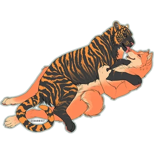 la tigre, la tigre miao, tigre maschio, tiger tinta unita, tigre animale