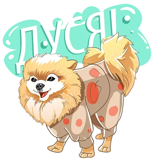 spitz, spitz rock, spitz dog, pomeranian, bomespitz vector