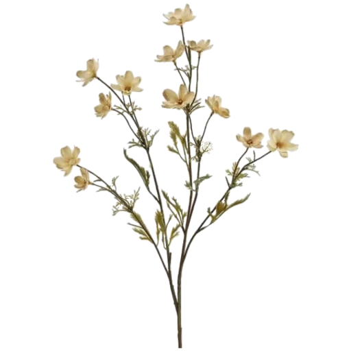 placophils flowers, gypsophyla twig, a branch of gypsophyla, artificial flowers, gypsophyla is a blizzard