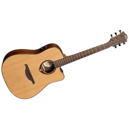 acoustic guitar, lag tramontane t200j, acoustic guitar vulture, the guitar is electro acoustic, acoustic guitar lag t-118d