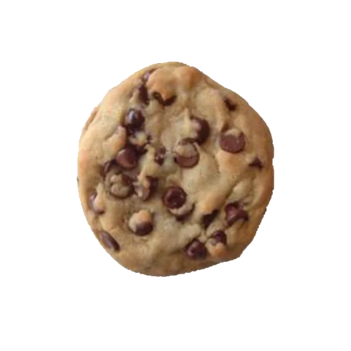 cookies avec raisins secs, biscuits nappés chocolat noir, biscuits bruns, biscuits nappés chocolat noir, cookies de farine d'avoine raisins