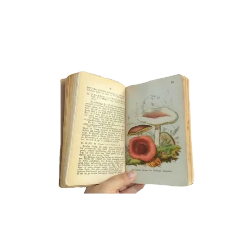 книги, книга кулинария, кулинарная книга, подарочные книги, книги по кулинарии