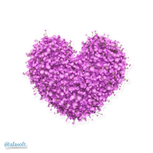 jantung bubuk, lavender heart, jantung ungu, neon hyacinth bor air panas