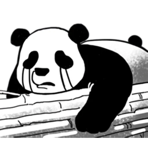panda, afrique, appels d'afrique, dessin de panda, croquis de panda