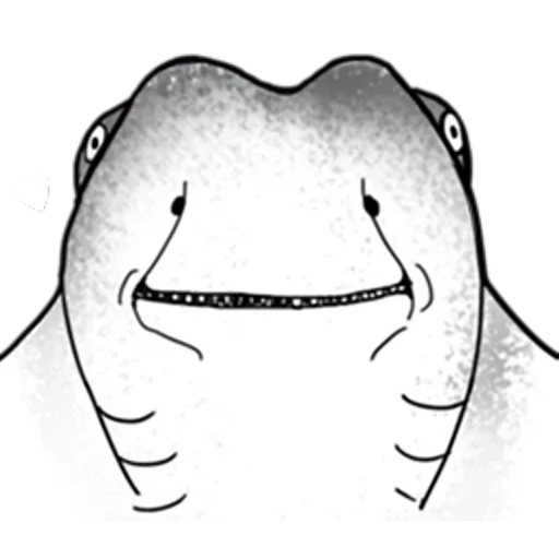 pronúncia, ilustração, grande tubarão branco, kramer accra, estágio de pronúncia