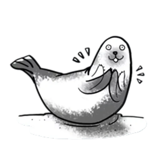 seal, seal sketch, seal drawing, seal with a pencil, cartoon seal