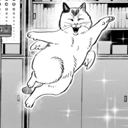kucing, kucing, manga, kucing manga, manga populer