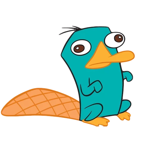 ferb fines, platypus, perry phinez feib, platypus perry platypus, perry platypus little