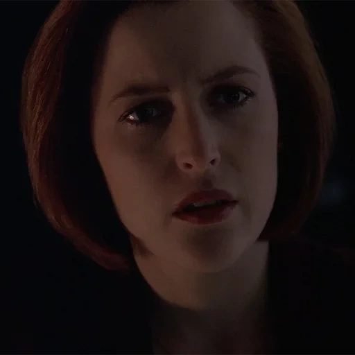 dana, the scully, x dateien, dana scully, vertrauliches material
