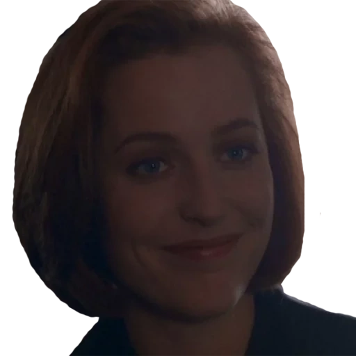people, girl, scully's x-file, gillian anderson bad blood, gillian anderson x files season 1