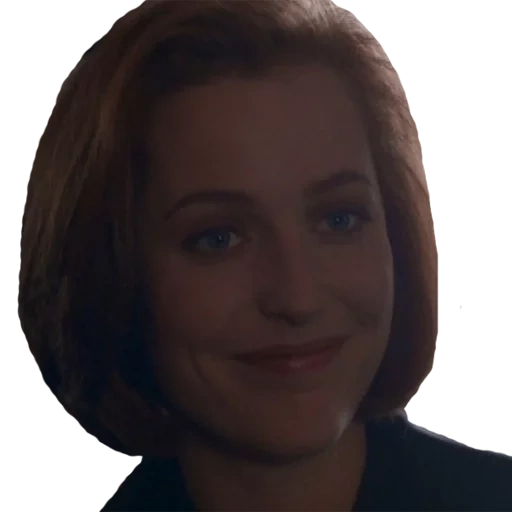 le persone, la ragazza, gli x-files di scully, gillian anderson bad blood, gillian anderson x-files stagione 1