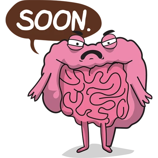 cerebro, órganos, theawkward yeti