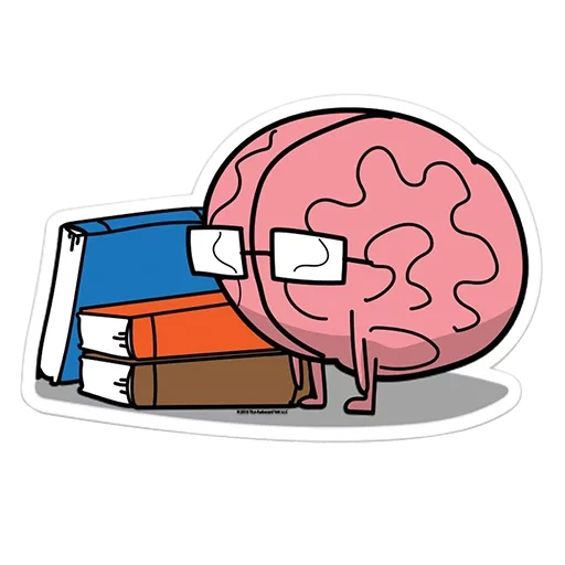 cérebro, caderno, cérebro cardíaco, cérebro humano