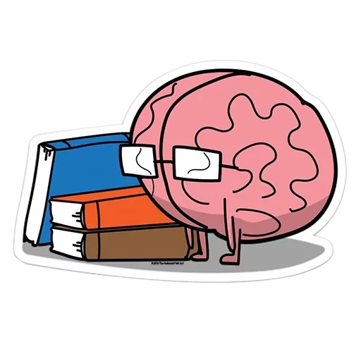 cerveau, carnet, cerveau cardiaque, cerveau humain