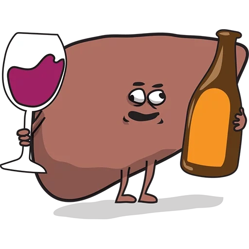liver, people, hepatic meme, funny liver, human liver