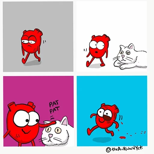 gato, desajeitado, o coração é cômico, quadrinhos engraçados, o desajeitado yeti