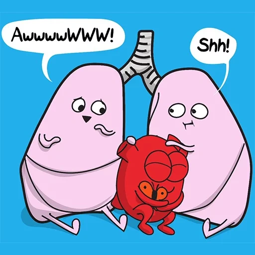 meme, light meme, a touch of humor, organ of speech, cartoons about respiratory organs