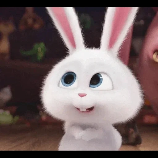 boule de neige de lapin, la vie secrète du lapin, little life of pets bunny, lapin snowball secret life of home 2, petite vie des animaux de compagnie lapin