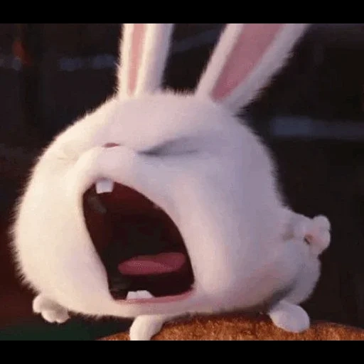 snowball di coniglio, vita segreta del coniglio, la vita segreta degli animali domestici hare, little life of pets rabbit, vita segreta degli animali domestici hare snowball