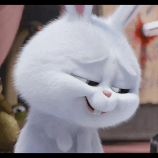 bola de nieve de conejo, la vida secreta de las mascotas, la vida secreta de las mascotas liebre, pequeña vida de mascotas conejo, cartoon rabbit secret life of pets