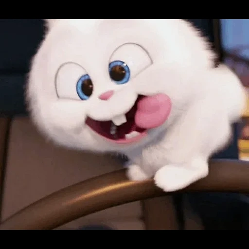 vida secreta do coelho, rabbit fluff secret life, a vida secreta dos animais de estimação, última vida de animais de estimação snowball, little life of pets rabbit