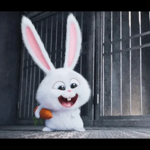 bad rabbit, rabbit snowball, little rabbit man, the secret life of pet rabbit, the secret life of pet rabbit snowball