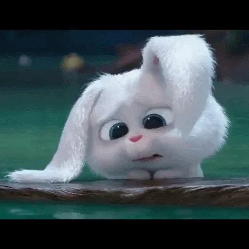 bola de nieve de conejo, dibujos animados sobre el conejito, la vida secreta de las mascotas, mascotas de conejo de dibujos animados, última vida de mascotas bola de nieve