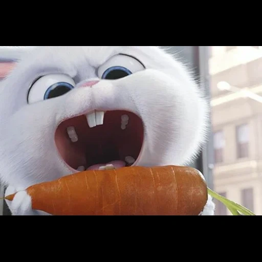 boule de neige de lapin, le lièvre de la vie secrète, la vie secrète des animaux, vie secrète des animaux de compagnie 1, petite vie des animaux de compagnie lapin