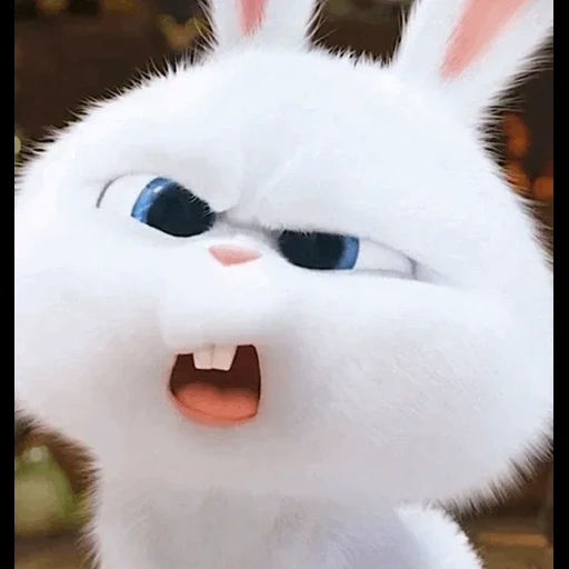кролик, злой заяц, зайка злой, федя зайцев, android приложение