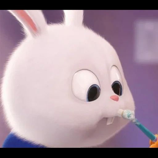 rabbit snowball, secret life of hare, the secret life of pets, hare's secret life pet, the secret life of pets 2 rabbit snowball