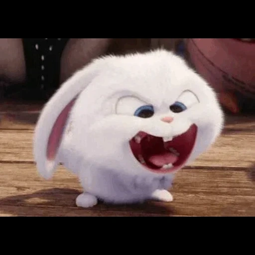 bola de nieve de conejo, rabbit secret life 2, dibujos animados de bola de nieve de conejo, pequeña vida de mascotas conejo, la vida secreta de las mascotas es el conejo malvado
