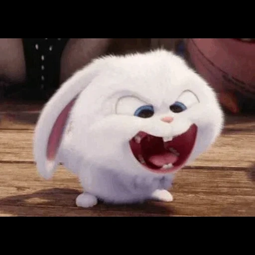 snowball di coniglio, rabbit secret life 2, cartone animato di palle di neve di coniglio, little life of pets rabbit, la vita segreta degli animali domestici è il coniglio malvagio