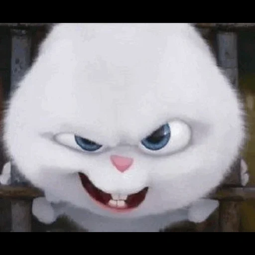 gato, el conejo está enojado, bola de nieve de conejo, bola de nieve la última vida de las mascotas, última vida de mascotas bola de nieve