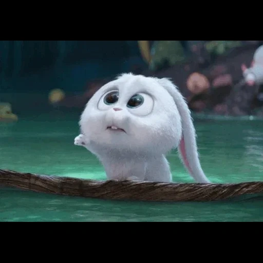 rabbit, cartoon, snowball cartoon, the secret life of pets, i think i'll soon go to work in a mental hospital and have a rest