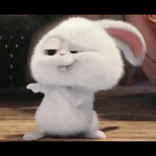 snowball di coniglio, ultima vita di animali domestici snowball, little life of pets rabbit, vita segreta degli animali domestici hare snowball, ultima vita di animali domestici snowball