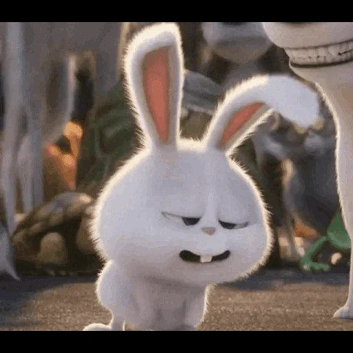 boule de neige de lapin, hare of cartoon secret life, dernière vie de lapin à la maison, la vie secrète des animaux, vie secrète des animaux de compagnie 1