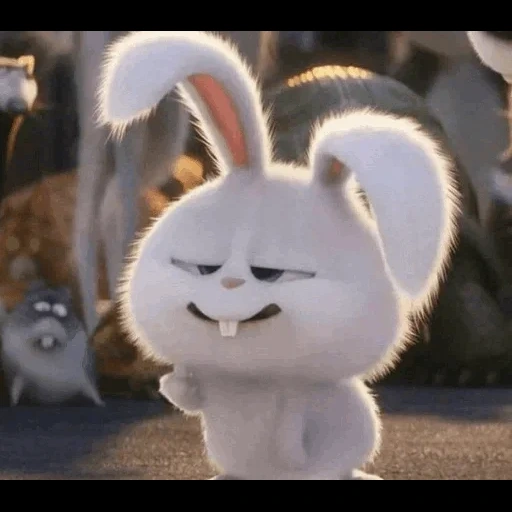 lapin, boule de neige de lapin, dessin animé satisfait de la boule de neige de lapin, dessin animé smiley rabbit snowball, petite vie des animaux de compagnie lapin