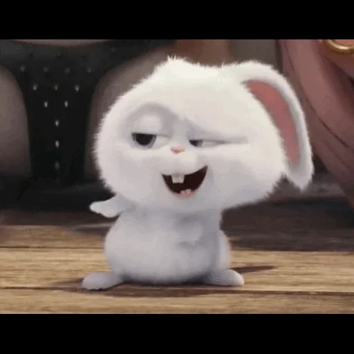 bola de neve de coelho, rabbit snowball chora, little life of pets rabbit, vida secreta dos animais de estimação 2 bola de neve, vida secreta de animais de estimação hare snowball