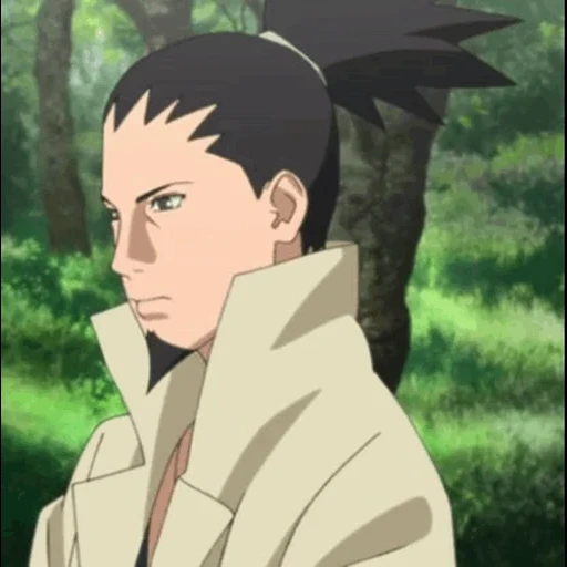 sikamaru nara, shikamaru nara boruto, shikakaku chicamaru chicadai, shikamaru advisor to hokage, boruto next generation naruto