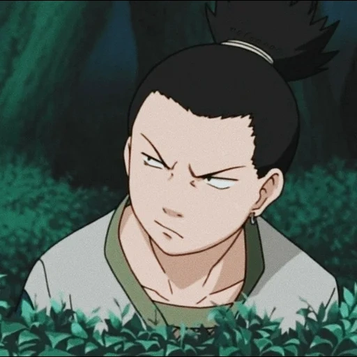 shikamaru nara, sikamaru nara, shikamaru choji, shikamaru naruto, clan nara shikamaru