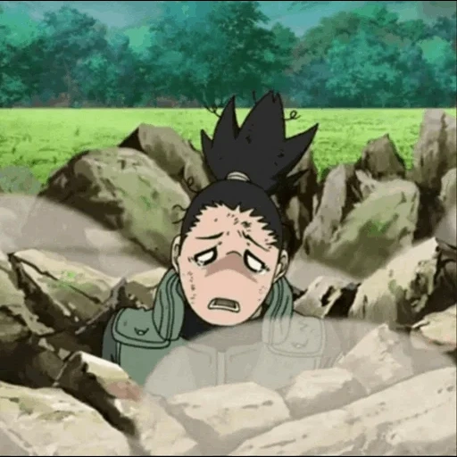 naruto, ermite, shikamaru nara, sikamaru nara, shikamaru moroka