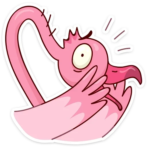 eyo, die flamingos, flamingo eyo, ayo flamingo