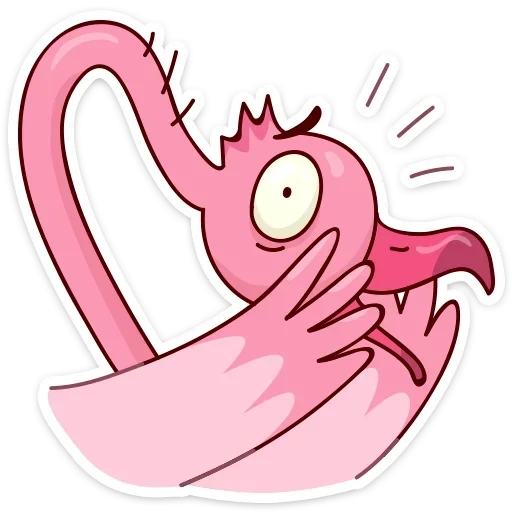 ayo, flamingo, flamingo ayo, eyo flamingo