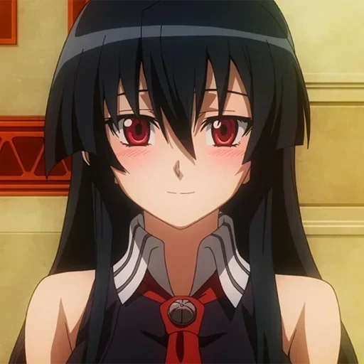 akame, akame ga, animación roja, mata al asesino de akame, asesinato asesino de akame akame