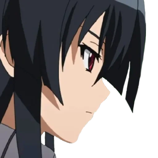 akame, akame ga, mata al asesino de akame, habitación negra roja, mata a la ciruela negra de akame