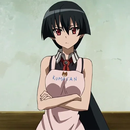 akame, akame ga, akame killer, akame milashka, akame killer akame